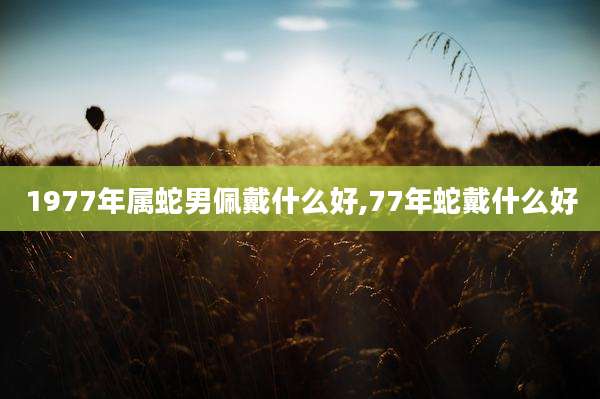 1977年属蛇男佩戴什么好,77年蛇戴什么好