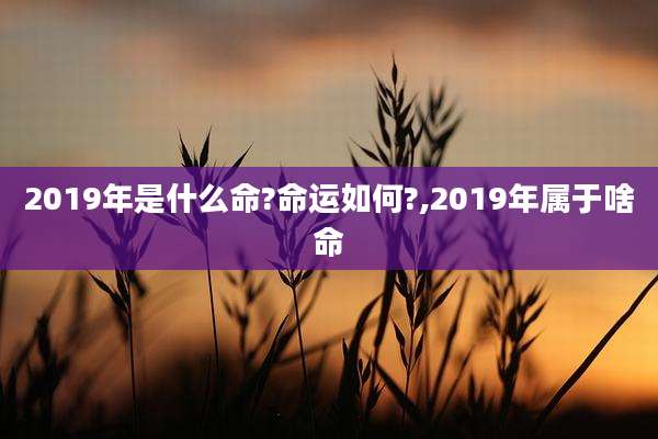 2019年是什么命?命运如何?,2019年属于啥命