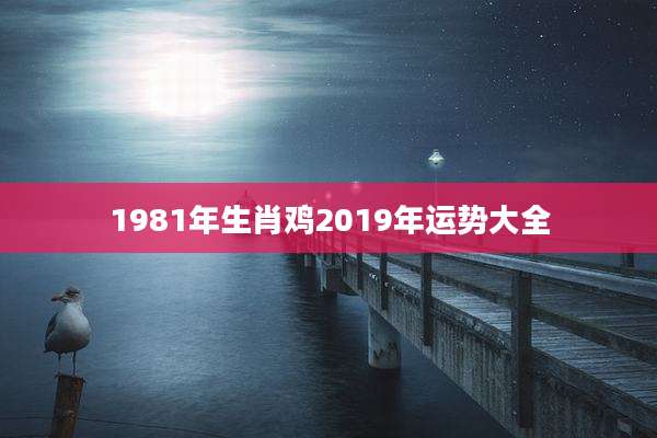 1981年生肖鸡2019年运势大全