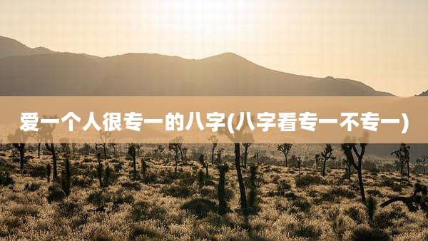 爱一个人很专一的八字(八字看专一不专一)