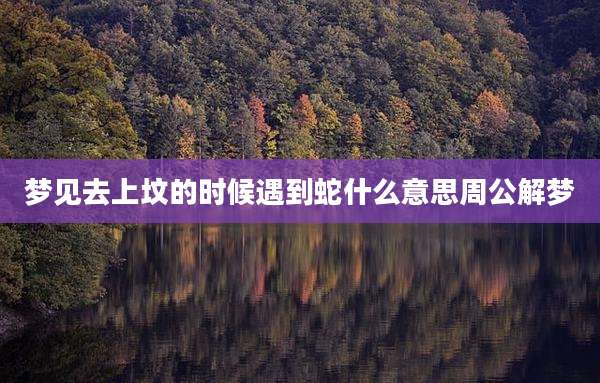 梦见去上坟的时候遇到蛇什么意思周公解梦