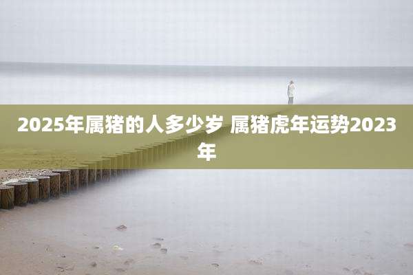 2025年属猪的人多少岁 属猪虎年运势2023年