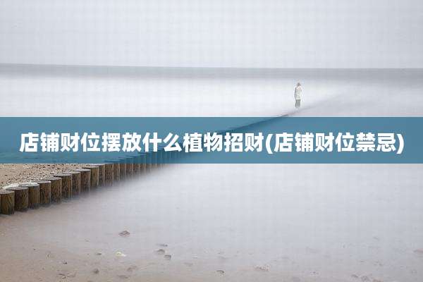 店铺财位摆放什么植物招财(店铺财位禁忌)