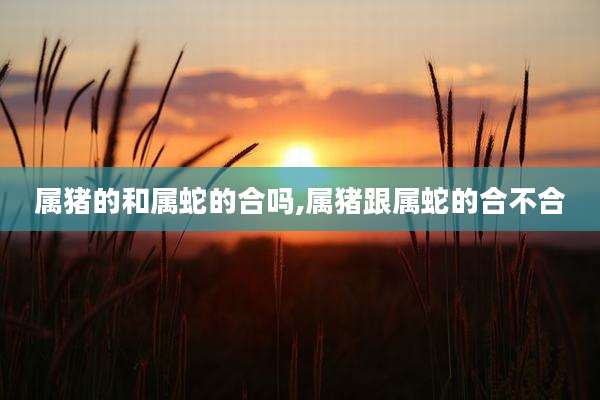 属猪的和属蛇的合吗,属猪跟属蛇的合不合