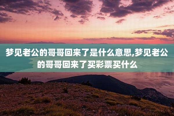 梦见老公的哥哥回来了是什么意思,梦见老公的哥哥回来了买彩票买什么