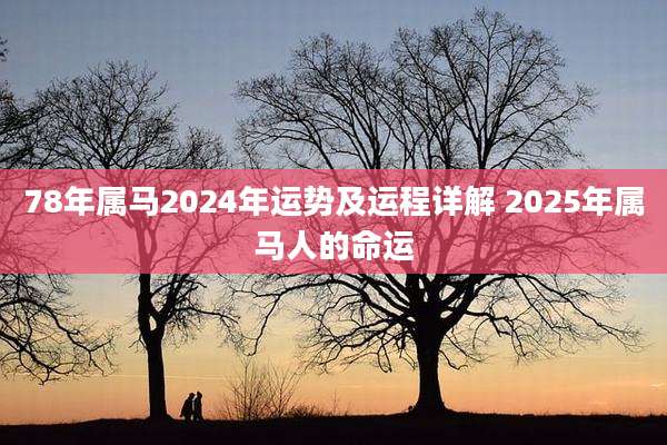 78年属马2024年运势及运程详解 2025年属马人的命运