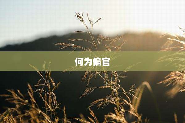 何为偏官