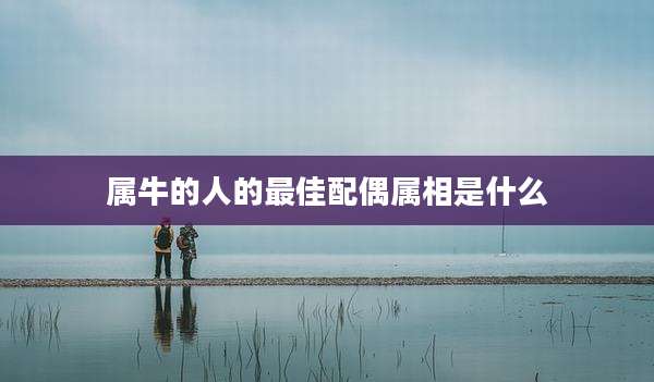 属牛的人的最佳配偶属相是什么