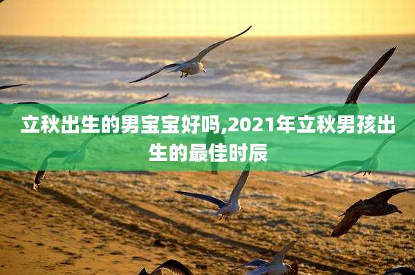 立秋出生的男宝宝好吗,2021年立秋男孩出生的最佳时辰