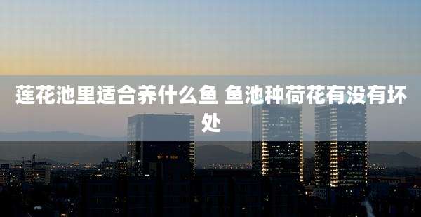 莲花池里适合养什么鱼 鱼池种荷花有没有坏处