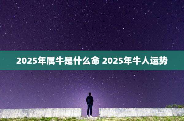 2025年属牛是什么命 2025年牛人运势