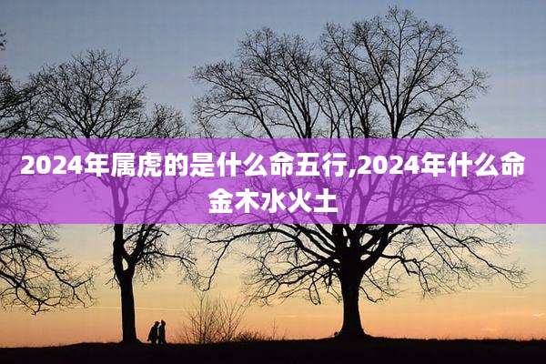 2024年属虎的是什么命五行,2024年什么命金木水火土
