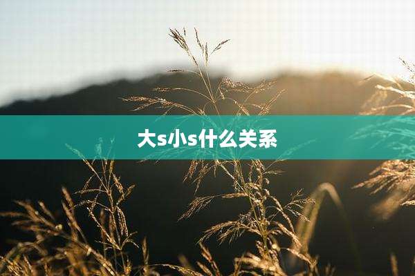 大s小s什么关系