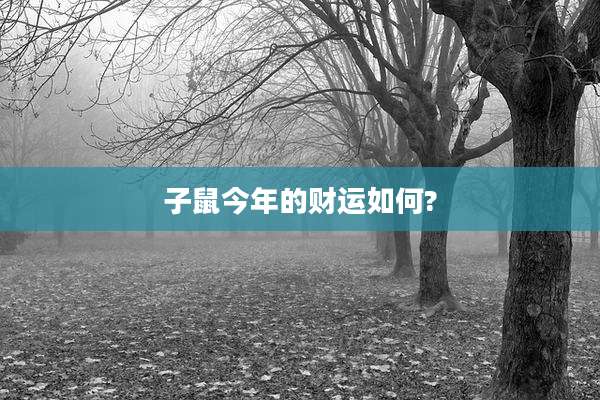 子鼠今年的财运如何?