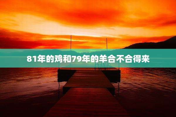 81年的鸡和79年的羊合不合得来