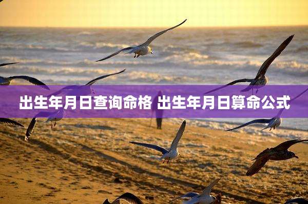 出生年月日查询命格 出生年月日算命公式