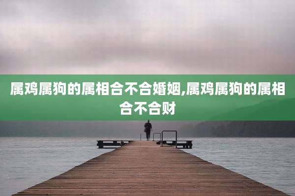 属鸡属狗的属相合不合婚姻,属鸡属狗的属相合不合财