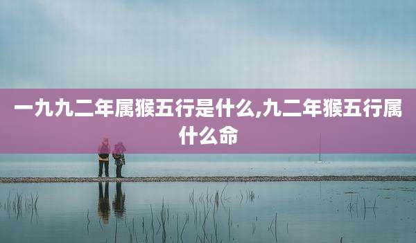 一九九二年属猴五行是什么,九二年猴五行属什么命