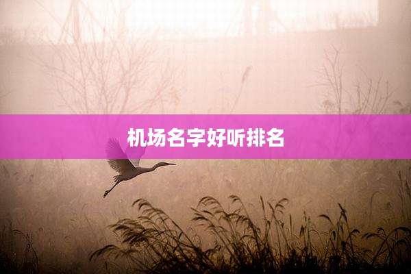 机场名字好听排名