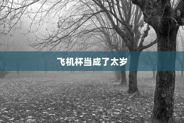 飞机杯当成了太岁