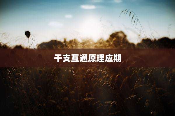 干支互通原理应期