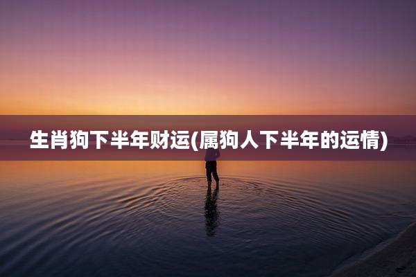 生肖狗下半年财运(属狗人下半年的运情)