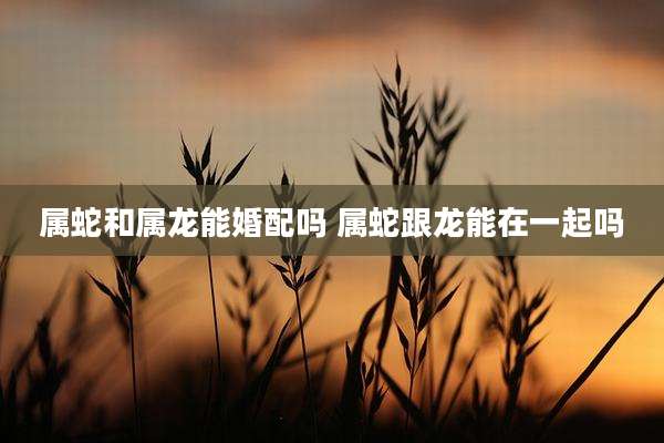 属蛇和属龙能婚配吗 属蛇跟龙能在一起吗