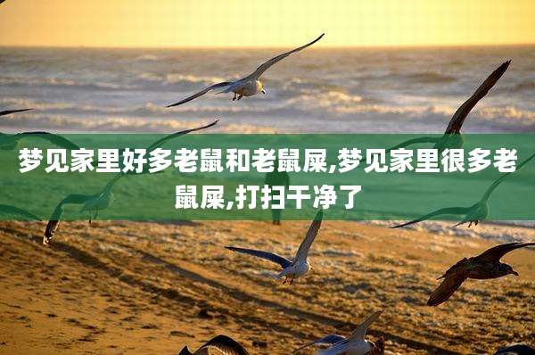 梦见家里好多老鼠和老鼠屎,梦见家里很多老鼠屎,打扫干净了