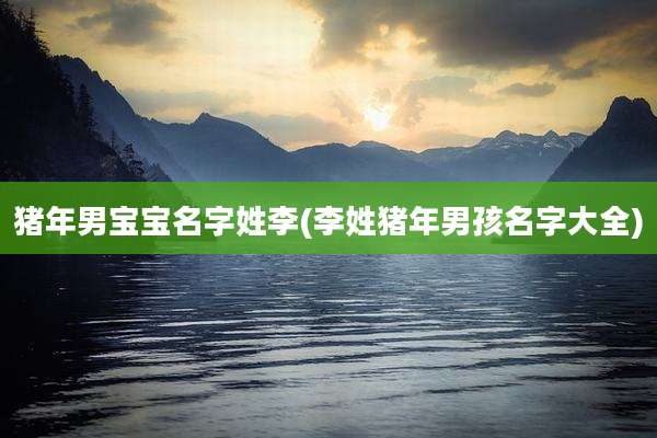 猪年男宝宝名字姓李(李姓猪年男孩名字大全)