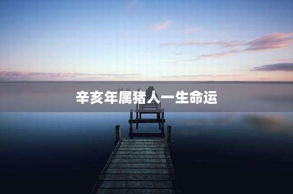 辛亥年属猪人一生命运