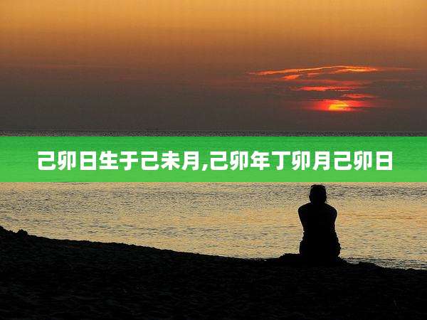 己卯日生于己未月,己卯年丁卯月己卯日