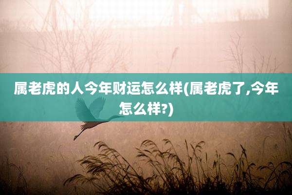 属老虎的人今年财运怎么样(属老虎了,今年怎么样?)