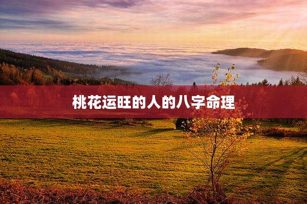 桃花运旺的人的八字命理