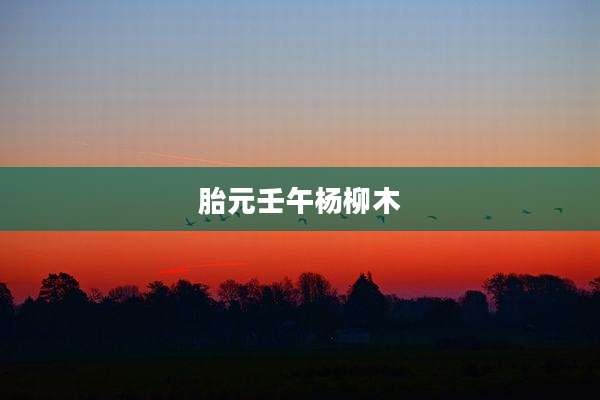 胎元壬午杨柳木