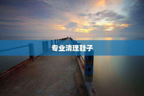 专业清理鞋子