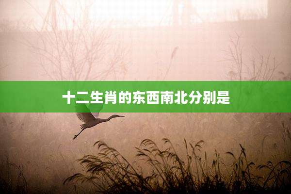 十二生肖的东西南北分别是