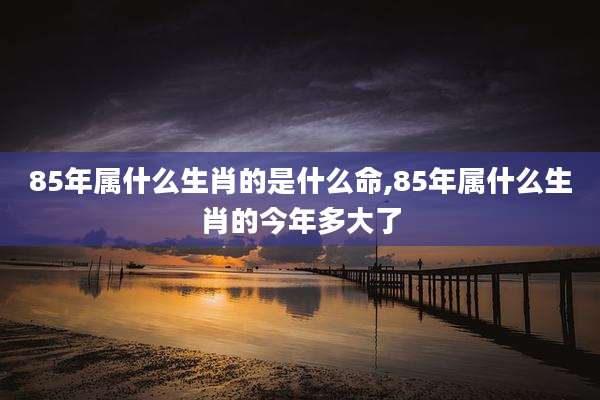 85年属什么生肖的是什么命,85年属什么生肖的今年多大了