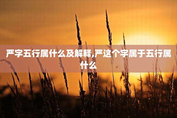严字五行属什么及解释,严这个字属于五行属什么