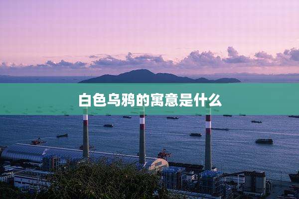 白色乌鸦的寓意是什么