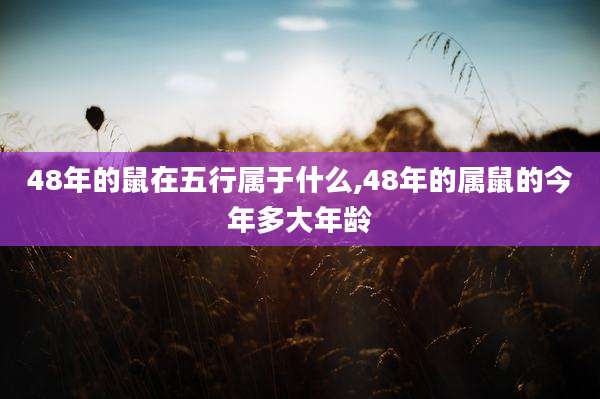 48年的鼠在五行属于什么,48年的属鼠的今年多大年龄