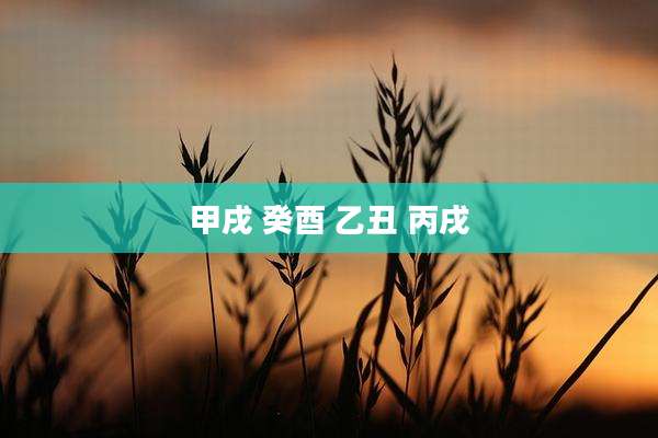 甲戌 癸酉 乙丑 丙戌