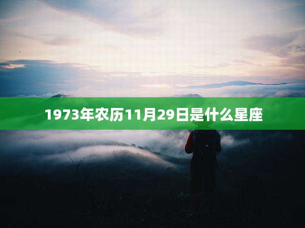 1973年农历11月29日是什么星座