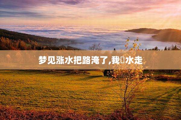 梦见涨水把路淹了,我蹚水走