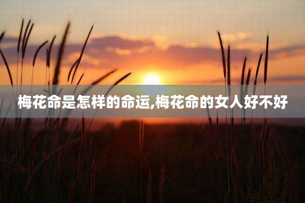 梅花命是怎样的命运,梅花命的女人好不好