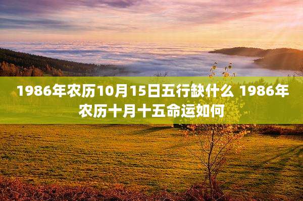 1986年农历10月15日五行缺什么 1986年农历十月十五命运如何