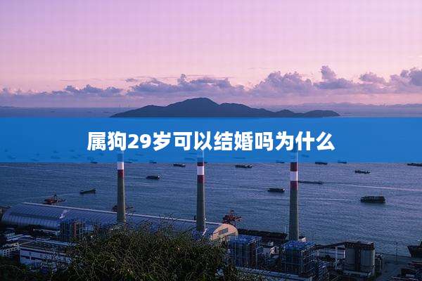 属狗29岁可以结婚吗为什么