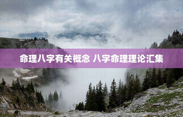 命理八字有关概念 八字命理理论汇集