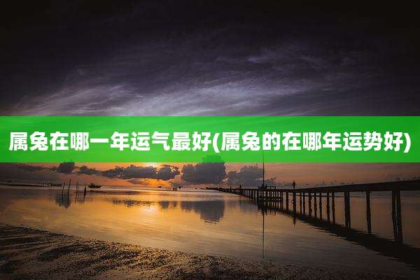 属兔在哪一年运气最好(属兔的在哪年运势好)