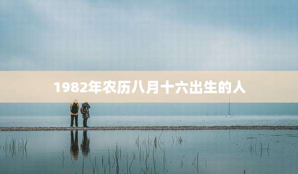 1982年农历八月十六出生的人