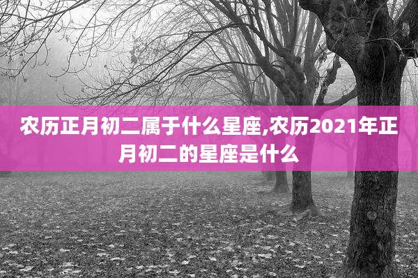 农历正月初二属于什么星座,农历2021年正月初二的星座是什么